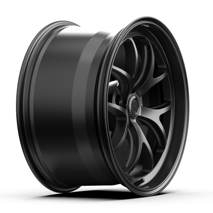 Sector RSR _ Frosted Graphite
