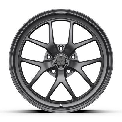 Sector RSR _ Matte Titanium