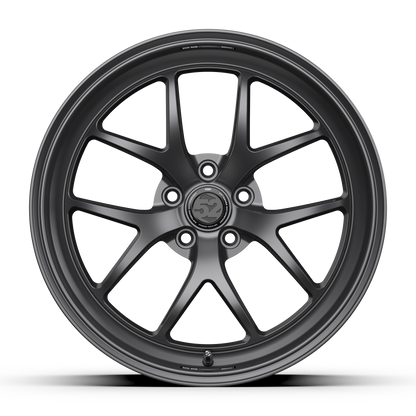 Sector RSR _ Matte Titanium